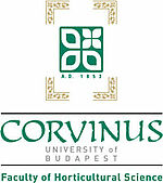 Logo Corvinus University of Budapest
